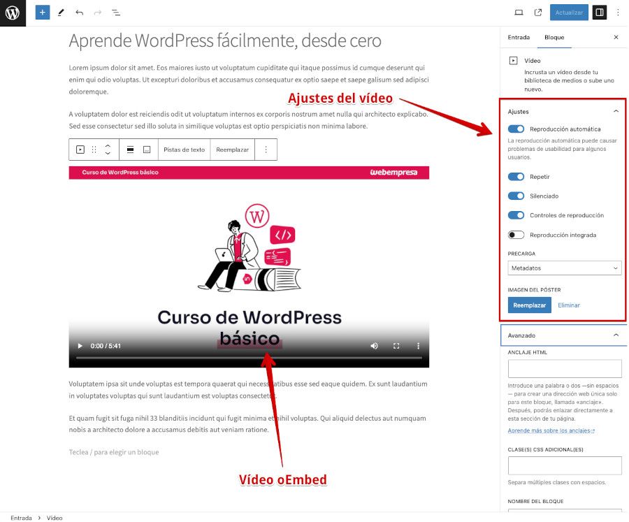 Añadir vídeos subidos en WordPress - Editar Entrada - Bloques Gutenberg - Vista previa del vídeo añadido