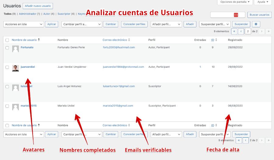 Puntos a analizar en el registro de usuarios en WordPress