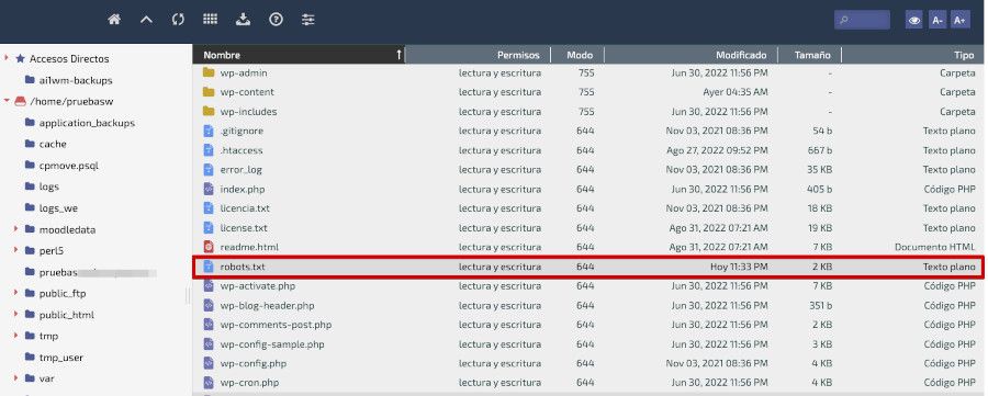 robots.txt en el Hosting