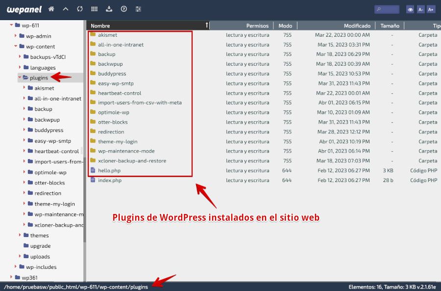 Revisión de archivos de plugins de WordPress desde el Filemanager del Hosting