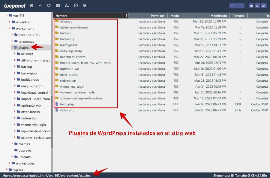 Revisión de archivos de WordPress desde el Filemanager del Hosting