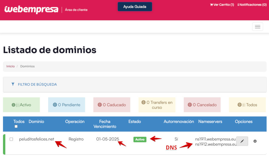 Área de Cliente de Webempresa - Dominio - ok