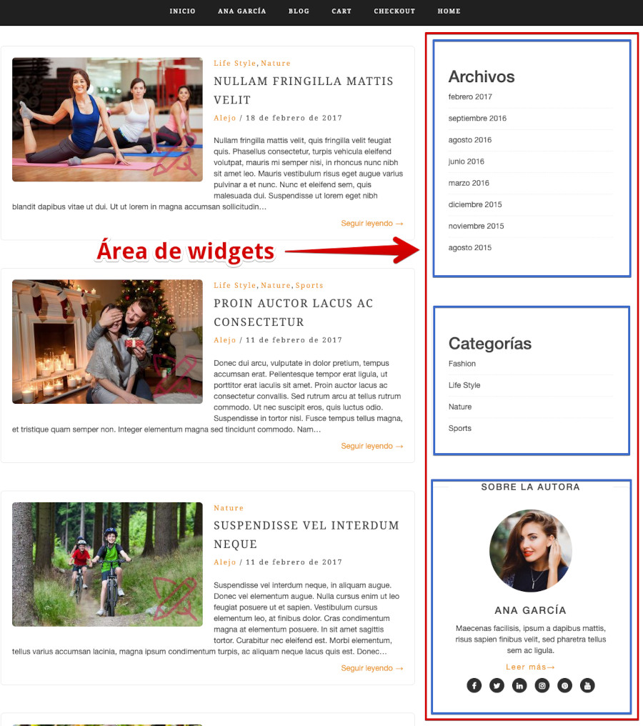 Área de widgets en WordPress