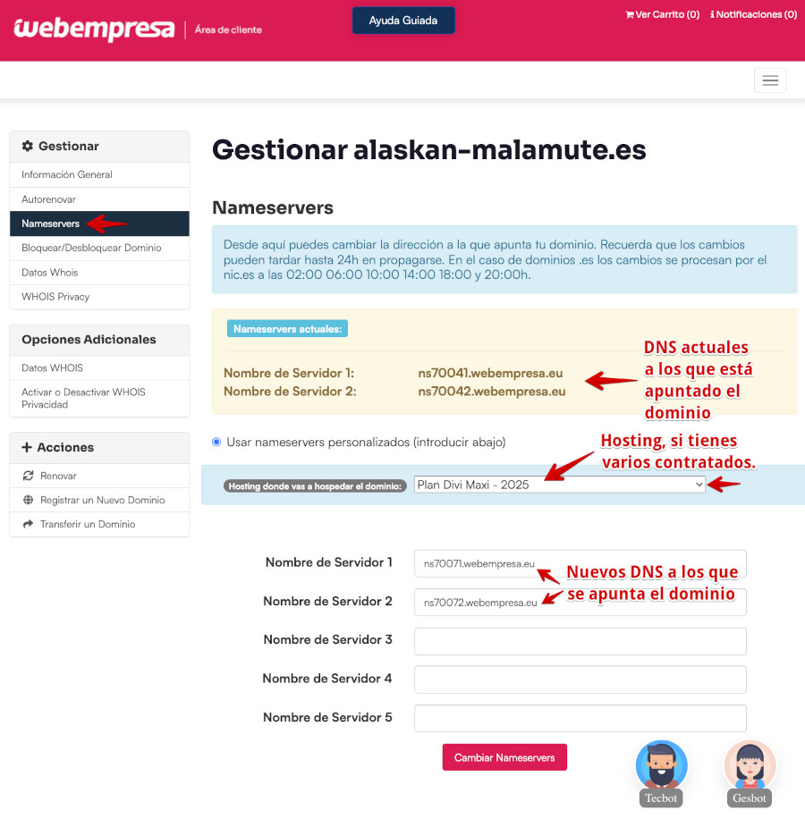 Área de Cliente - Dominios - Gestionar - Cambiar Nameservers