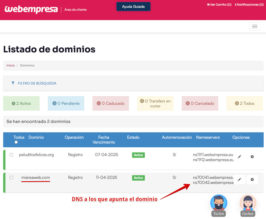 Área de Cliente - Dominios - Nameservers del dominio