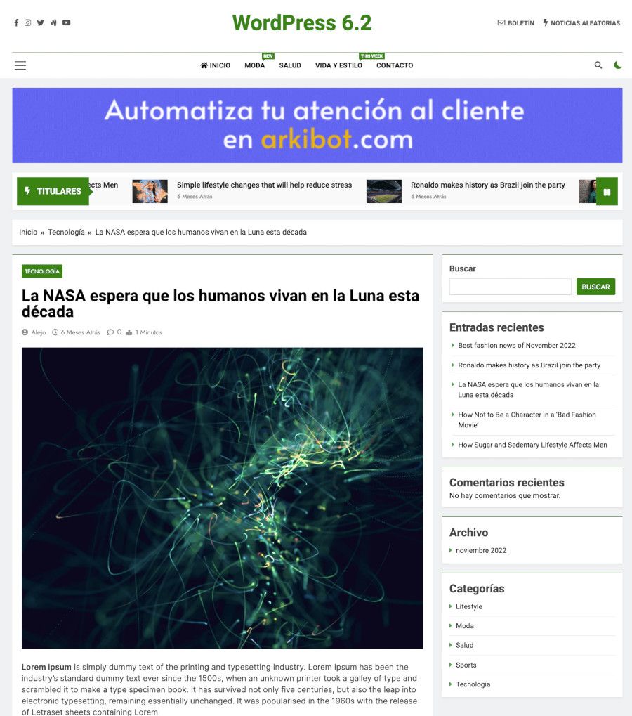 Articulo de Blog en WordPress