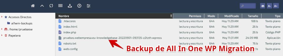 Archivo wpress subido al Hosting