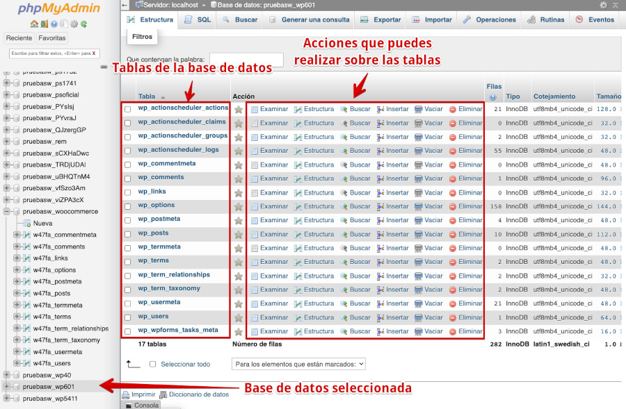 Seleccionar base de datos a exportar