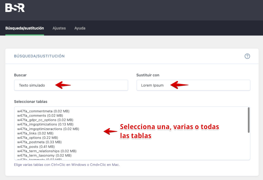 Cadena a buscar y sustituir con Better Search Replace