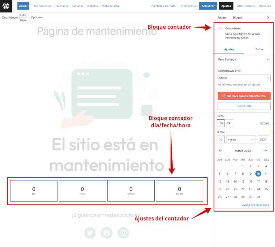 Bloque de Gutenberg para contador de apertura