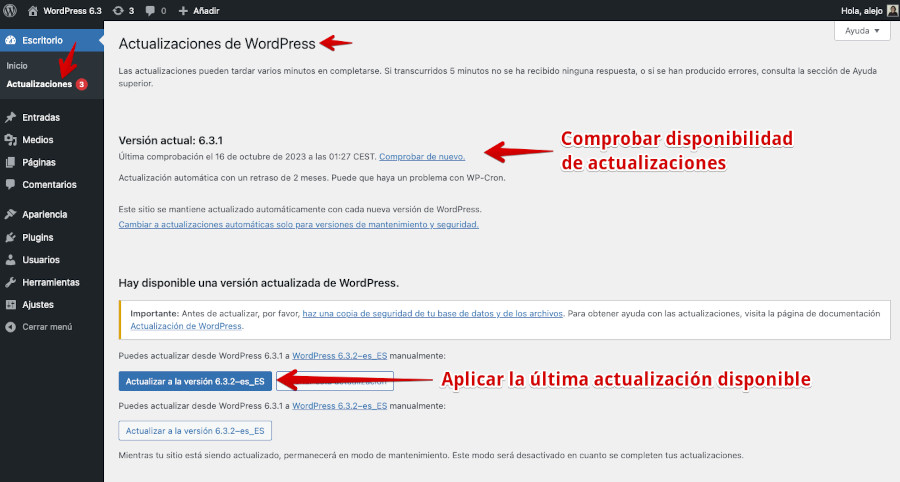 Localizar y aplicar actualizaciones de WordPress en el dashboard