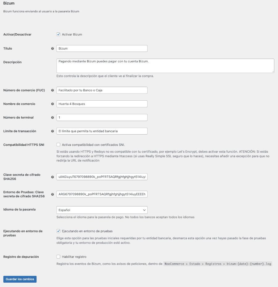 Configuración de Bizum