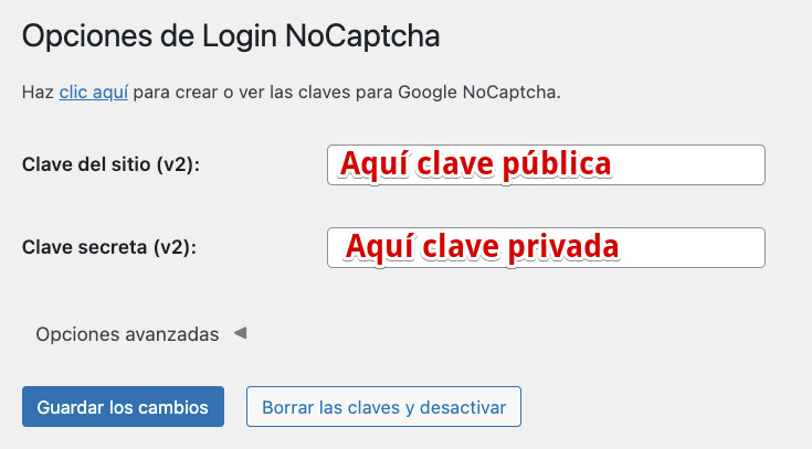 Configuración del plugin Login No Captcha reCAPTCHA