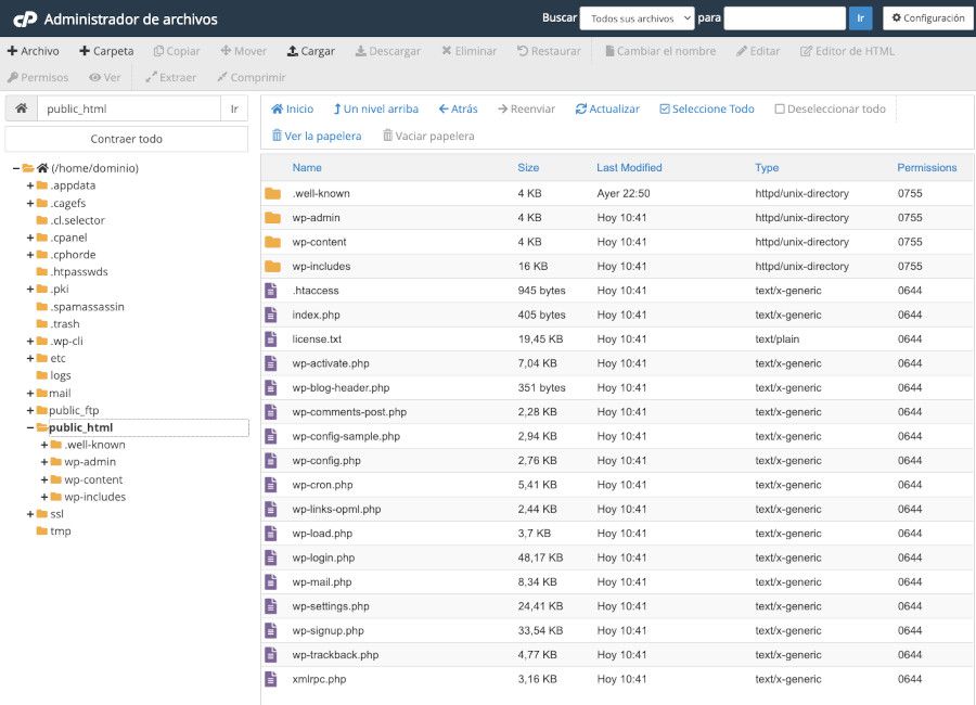 cPanel - Administrador de archivos