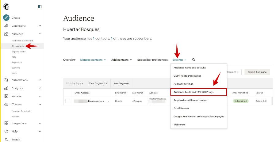 Crear campos personalizados en Audiencia - Mailchimp