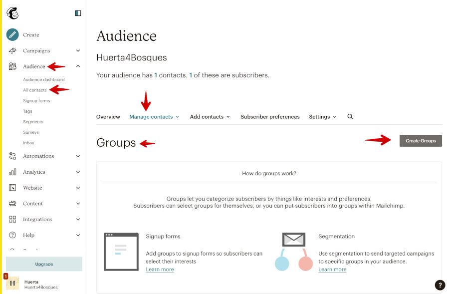 Crear Grupos en Contactos de Mailchimp