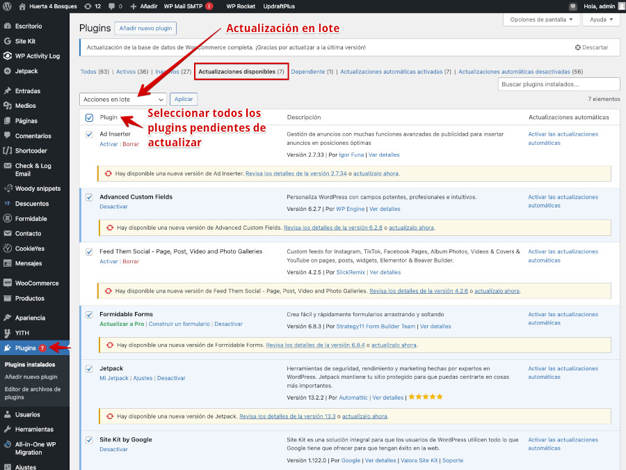 Plugins activos e inactivos pendientes de actualizar en lote