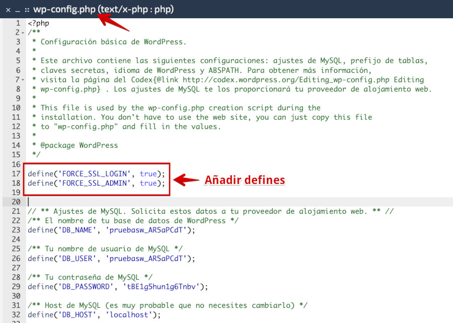 Añadir defines de forzado de SSL en wp-config.php