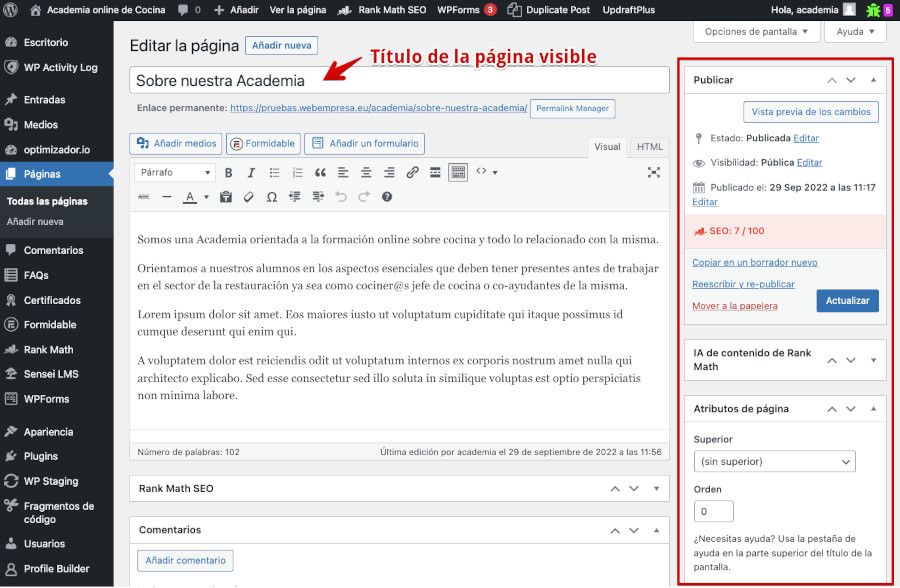 Por defecto no existen widgets en Páginas para ocultar el título