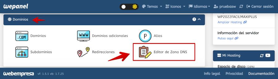 Editor de Zona DNS en wePanel