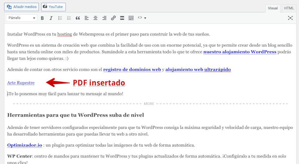 Vista del PDF con el editor visual activado