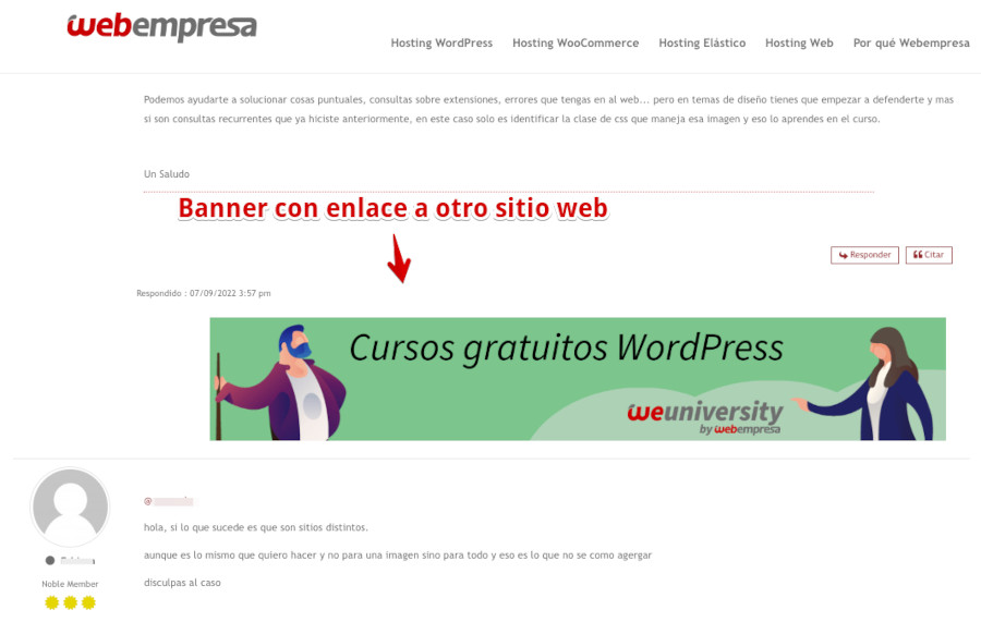 Ejemplo de banner en un Foro de un sitio creado con WordPress