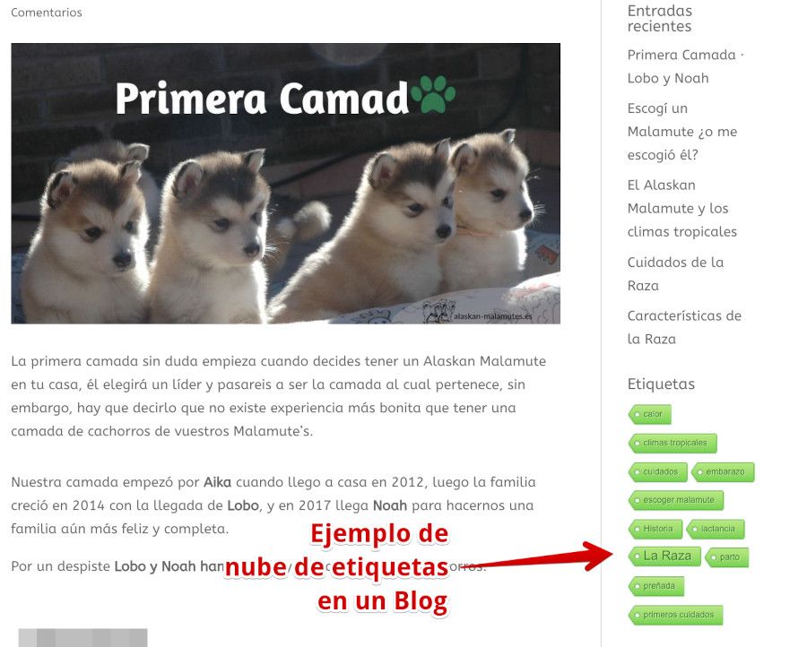 Ejemplo de nube de etiquetas en WordPress