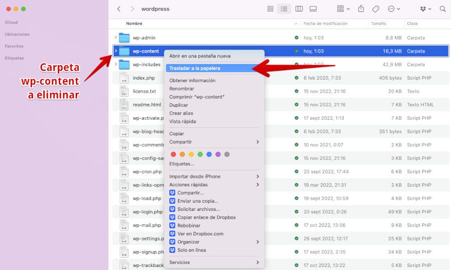 Eliminar la carpeta wp-content del zip estraido en el ordenador