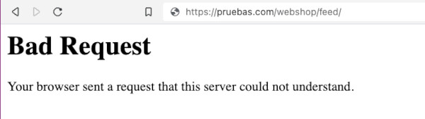Error en el navegador al acceder a la ruta feed