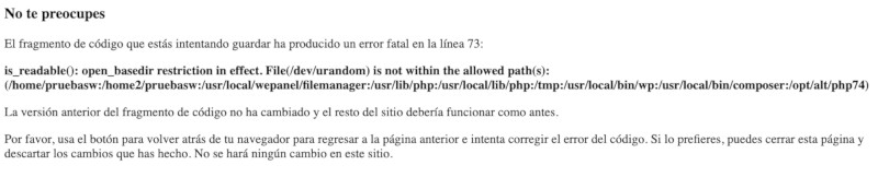 Errro al añadir un script en Code Snippets