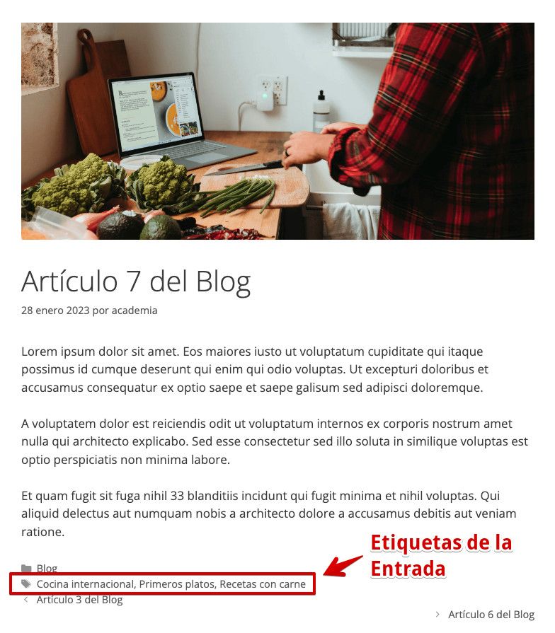 Etiquetas de la Entrada del blog WordPress