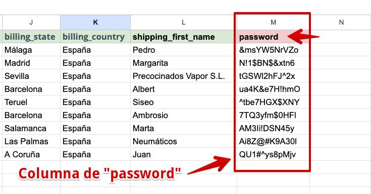 Ejemplo de hoja de cálculo con el campo contraseña establecido