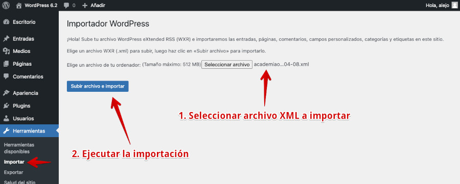 Herramientas - Importar - Ejecutar importación