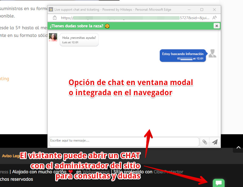 Chat en la página para que el usuario contacte en vivo con el sitio