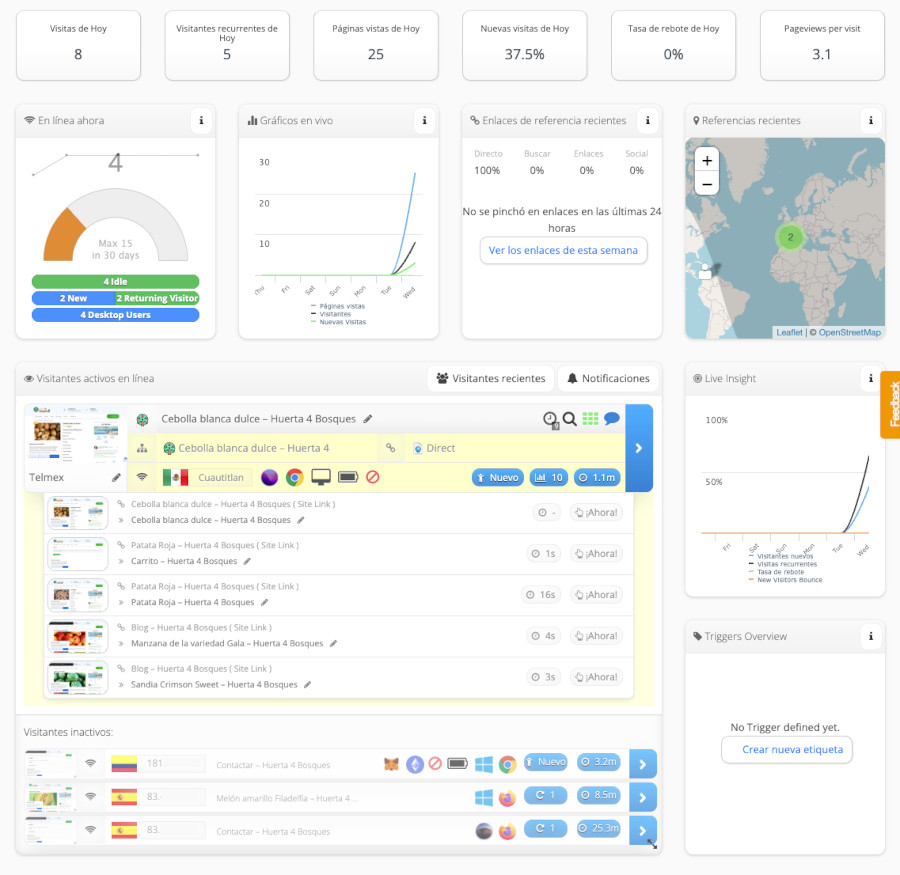 Visitas de usuarios a páginas de la web