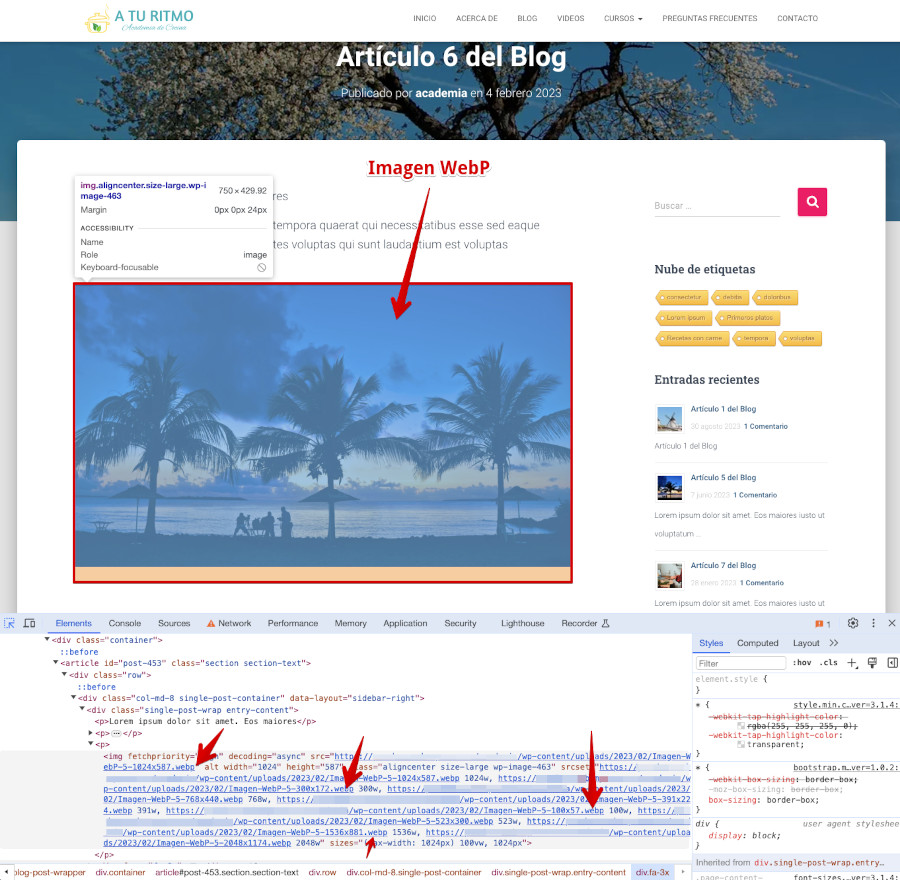Imagen WebP insertada en una Entrada en WordPress