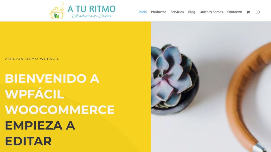 Logo nuevo en layout Divi