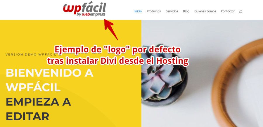 Logo por defecto en layout Divi