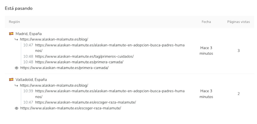 Metricool - Analítica - Tiempo real - Está pasando