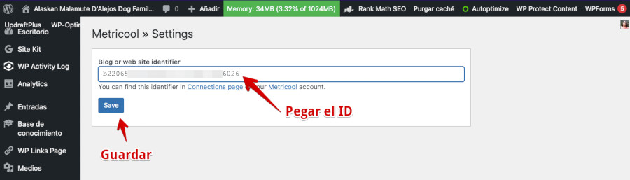 Metricool - Conexiones - Web - Pegar ID y guardar