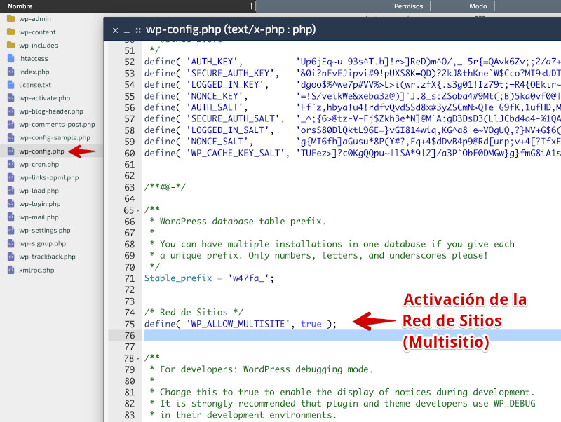 Define de activacion de la red de sitios en wp-config.php