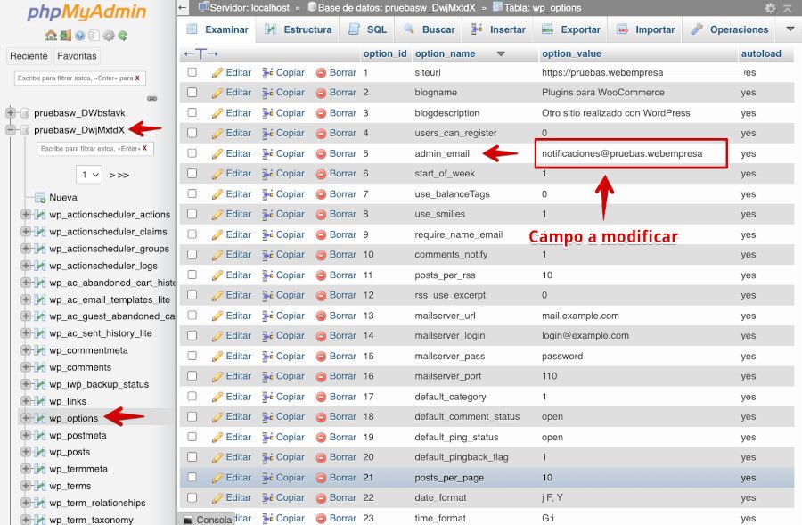 Registro del campo email en la tabla opcions de la base de datos