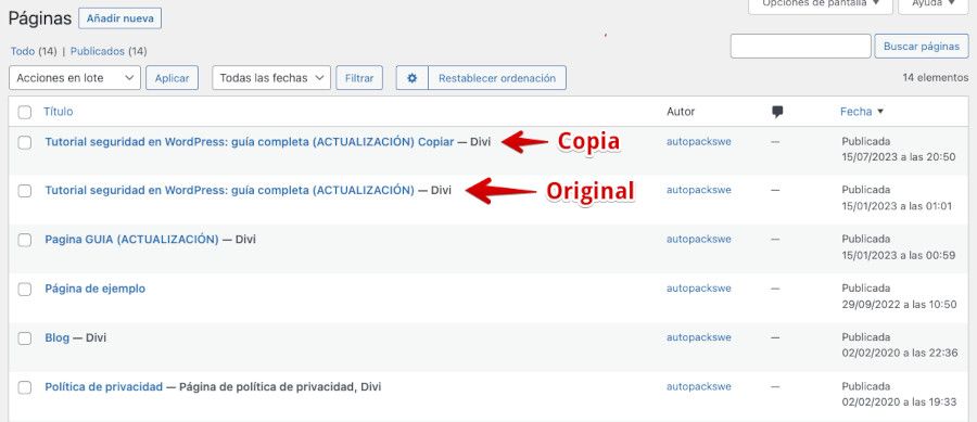 Páginas creadas con Divi duplicadas