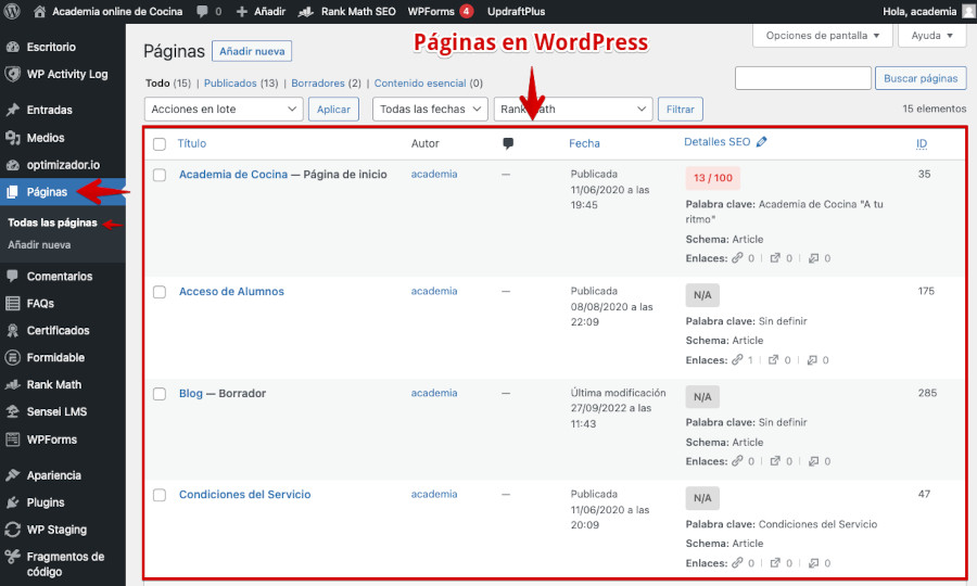 Páginas en WordPress