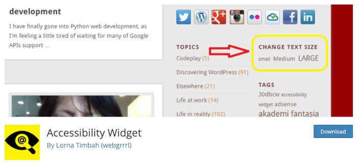 plugin-accessibility-widget Plugin Accessibility Widget