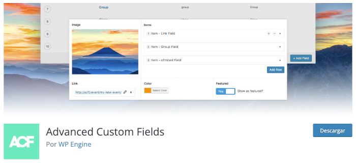 Plugin Advanced Custom Fields