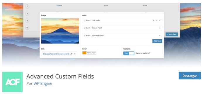 Plugin Advanced Custom Fields