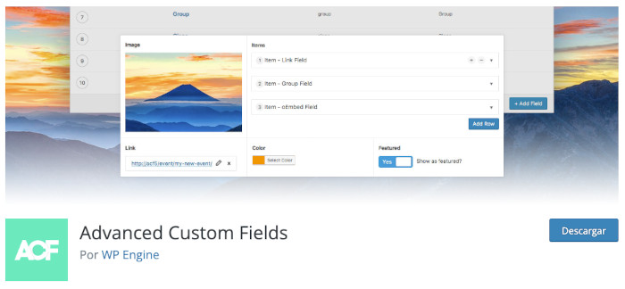 Plugin Advanced Custom Fields