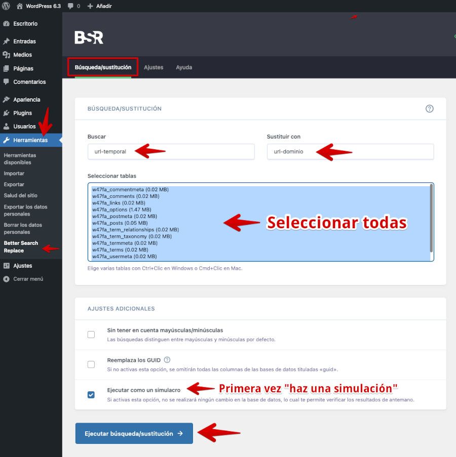 Simulación de cambio de URL con Better Search Replace