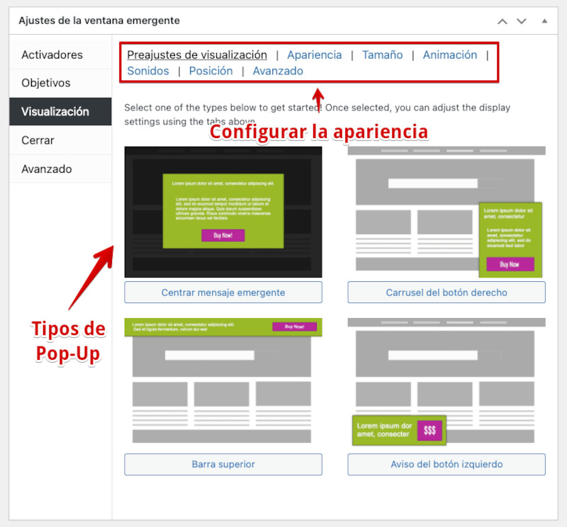 Apariencia del popup en el sitio web